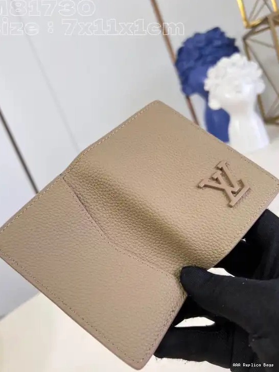 Aaa replica bags Organizer Louis Pocket Vuitton 0704